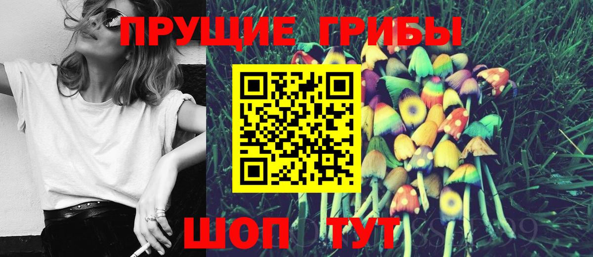 Псилоцибиновые грибы прущие грибы  Вход с VPN  Галлюциногенные грибы ЛСД  Миллерово 